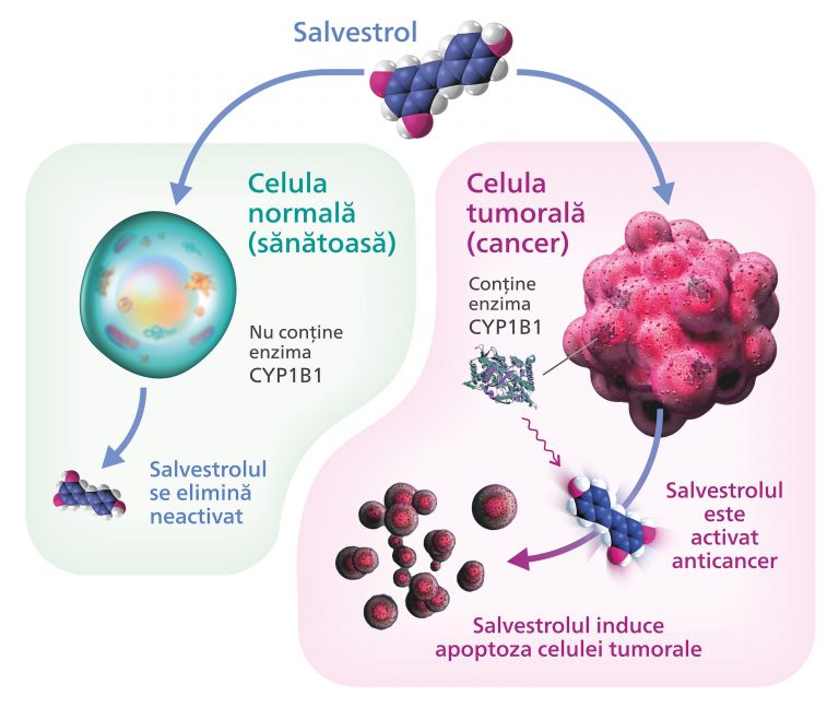Salvestrol, tratament naturist anti-cancer